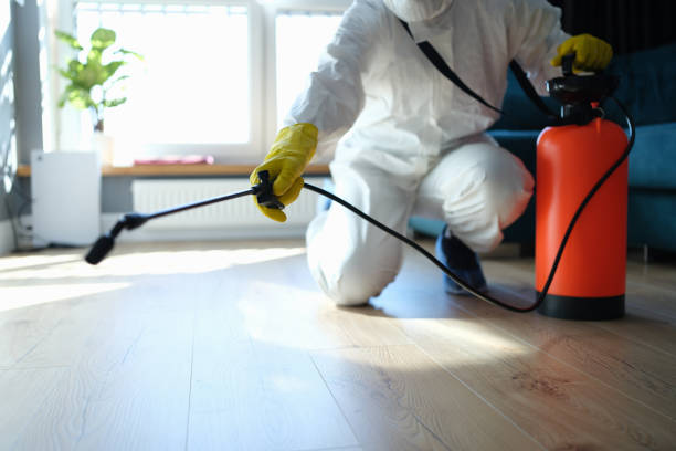Reliable Odor Removal contractor in Glen Gardner, NJ by Trauma Clean Pros